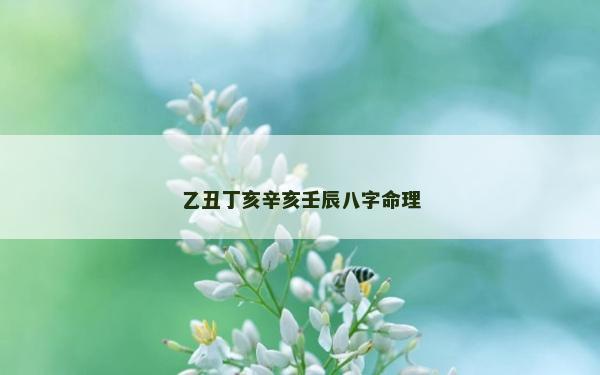乙丑丁亥辛亥壬辰八字命理