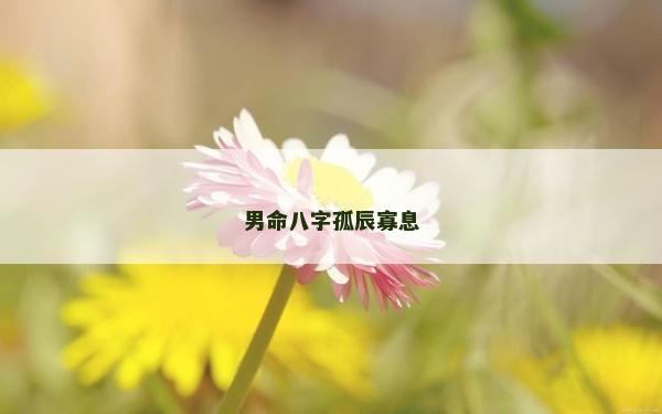 男命八字孤辰寡息