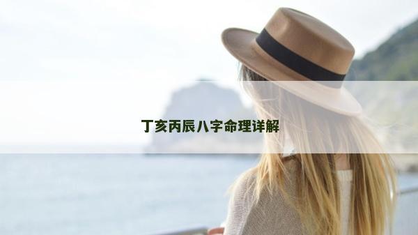 丁亥丙辰八字命理详解