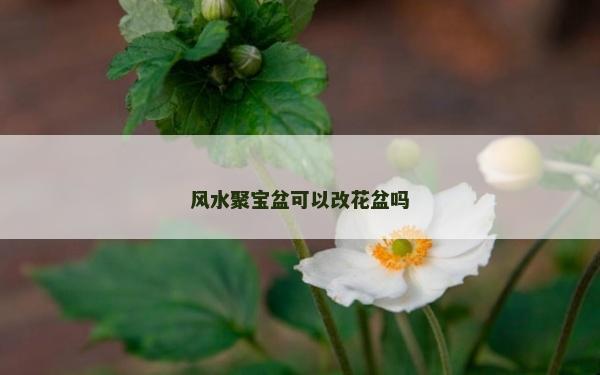 风水聚宝盆可以改花盆吗