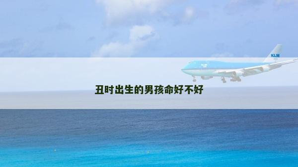 丑时出生的男孩命好不好