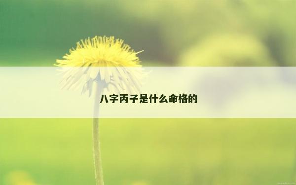 八字丙子是什么命格的