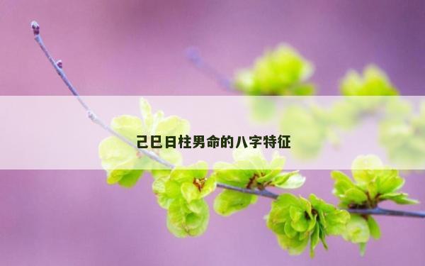己巳日柱男命的八字特征