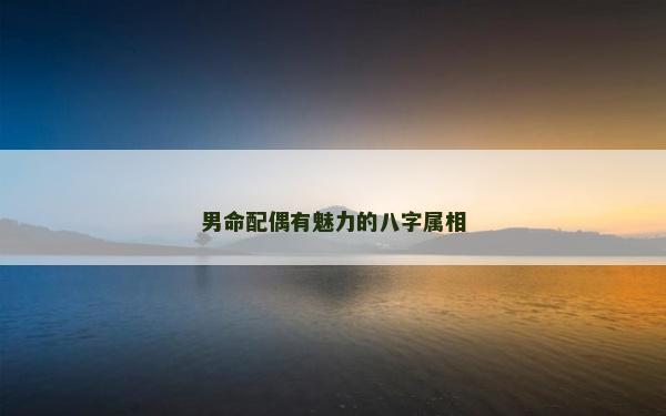 男命配偶有魅力的八字属相