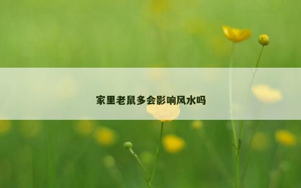 家里老鼠多会影响风水吗