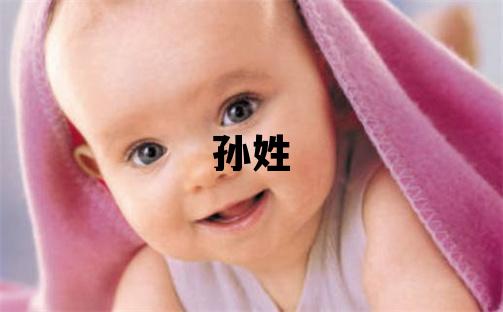 孙姓大气文雅的男宝宝名字