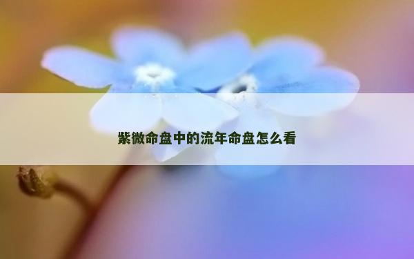 紫微命盘中的流年命盘怎么看