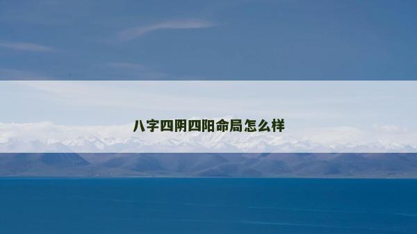 八字四阴四阳命局怎么样