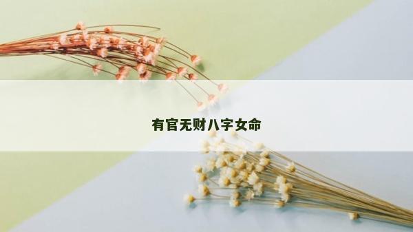 有官无财八字女命