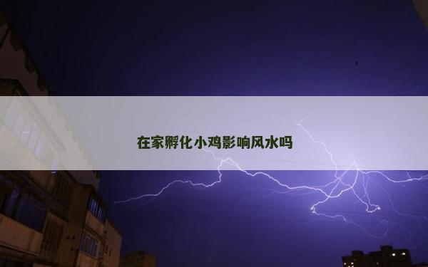 在家孵化小鸡影响风水吗