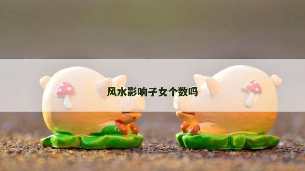 风水影响子女个数吗