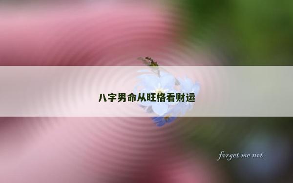 八字男命从旺格看财运