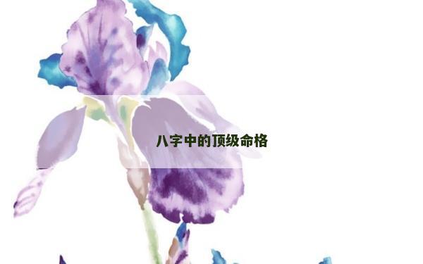 八字中的顶级命格