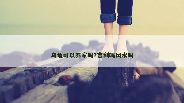 乌龟可以养家吗?吉利吗风水吗