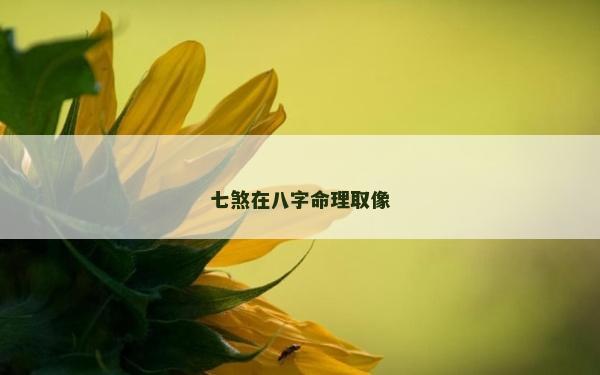 七煞在八字命理取像