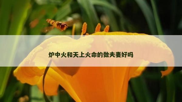炉中火和天上火命的做夫妻好吗