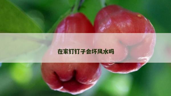 在家钉钉子会坏风水吗