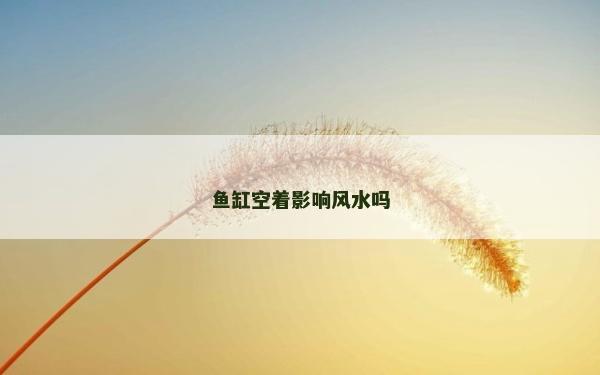 鱼缸空着影响风水吗