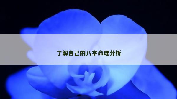 了解自己的八字命理分析