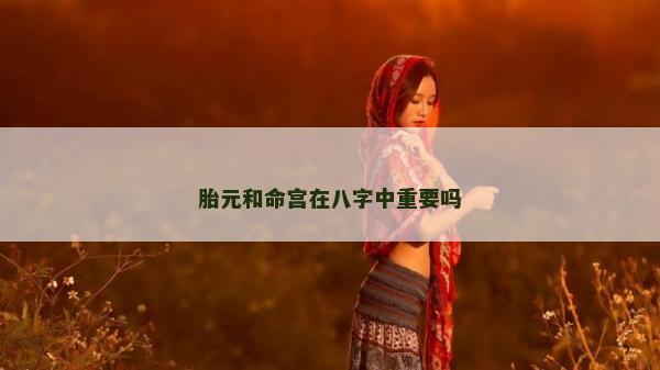胎元和命宫在八字中重要吗