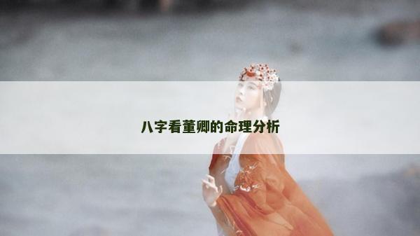 八字看董卿的命理分析