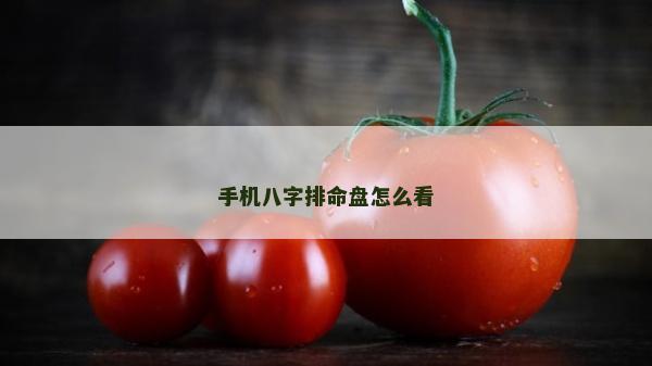 手机八字排命盘怎么看