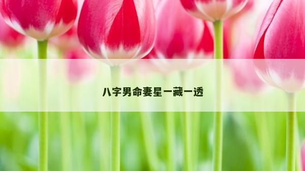 八字男命妻星一藏一透