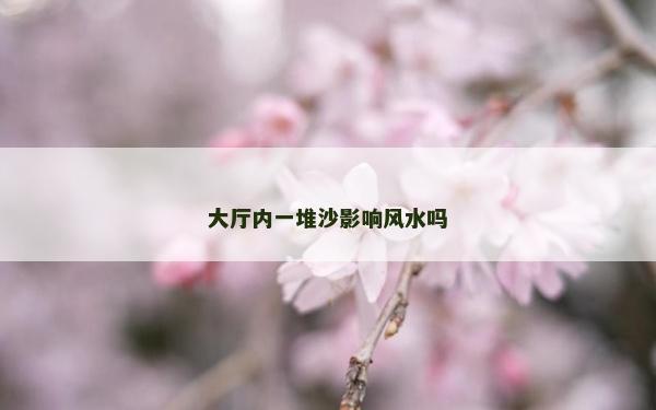 大厅内一堆沙影响风水吗
