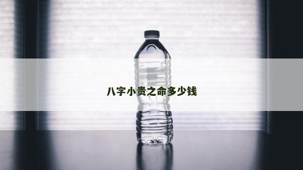 八字小贵之命多少钱