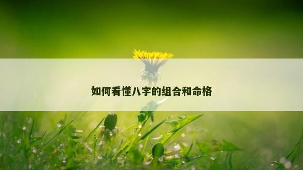 如何看懂八字的组合和命格