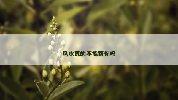 风水真的不能帮你吗