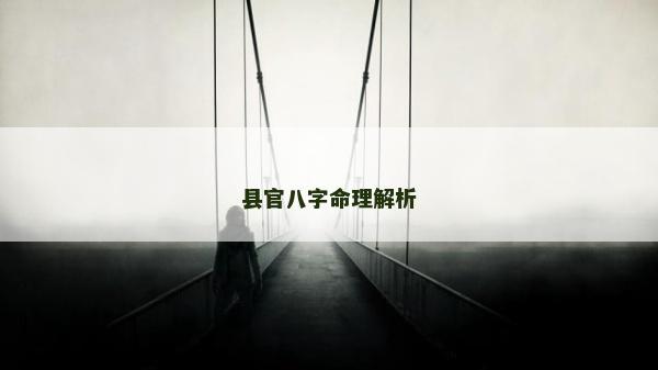县官八字命理解析