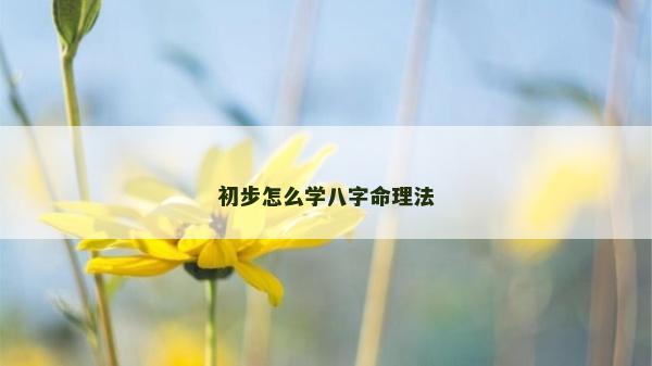 初步怎么学八字命理法