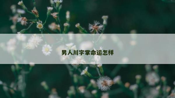 男人川字掌命运怎样