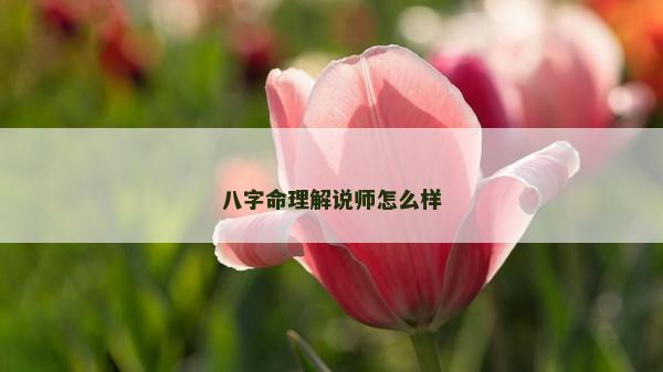 八字命理解说师怎么样