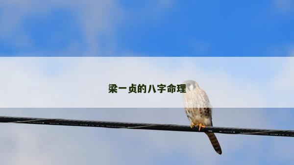 梁一贞的八字命理