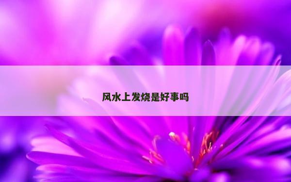 风水上发烧是好事吗