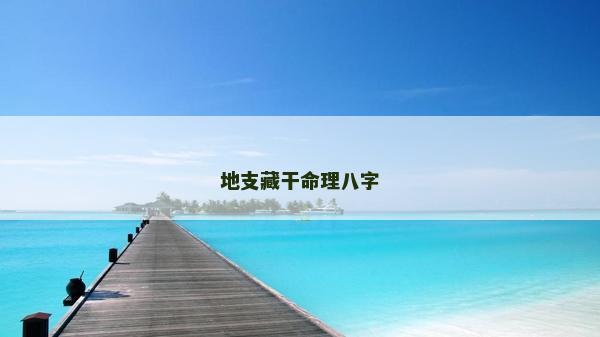 地支藏干命理八字