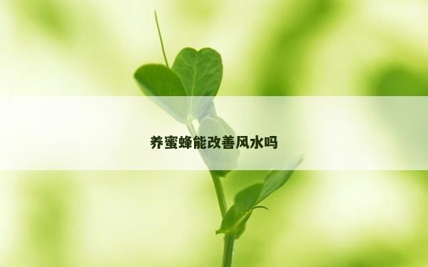 养蜜蜂能改善风水吗