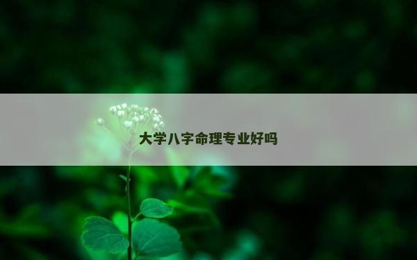 大学八字命理专业好吗