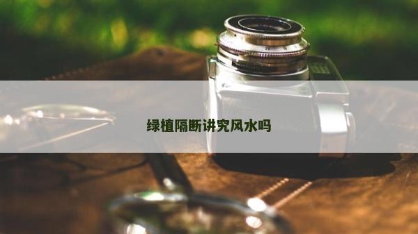 绿植隔断讲究风水吗