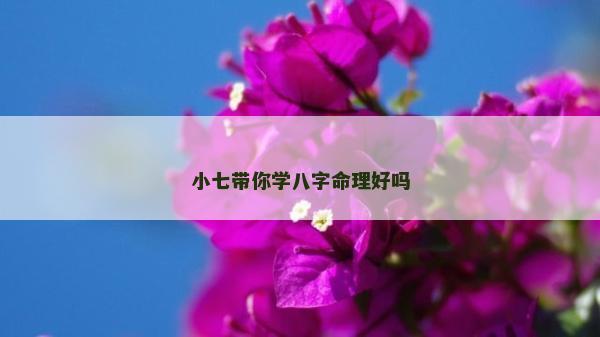小七带你学八字命理好吗