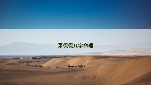 茅侃侃八字命理