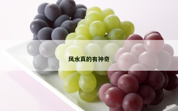 风水真的有神奇