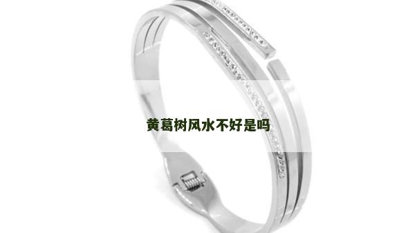 黄葛树风水不好是吗