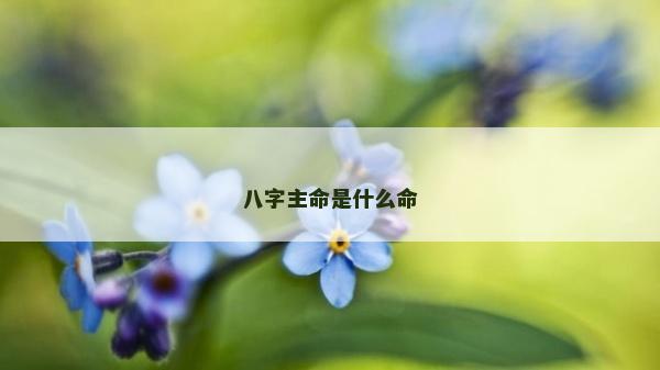八字主命是什么命