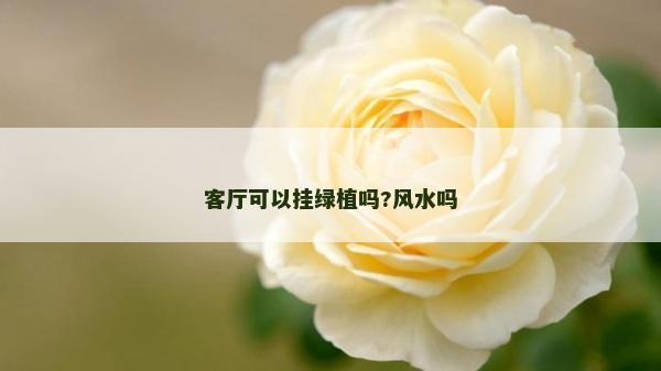 客厅可以挂绿植吗?风水吗