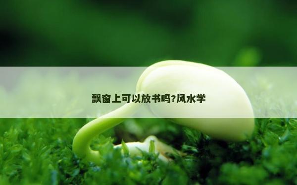飘窗上可以放书吗?风水学