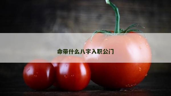 命带什么八字入职公门