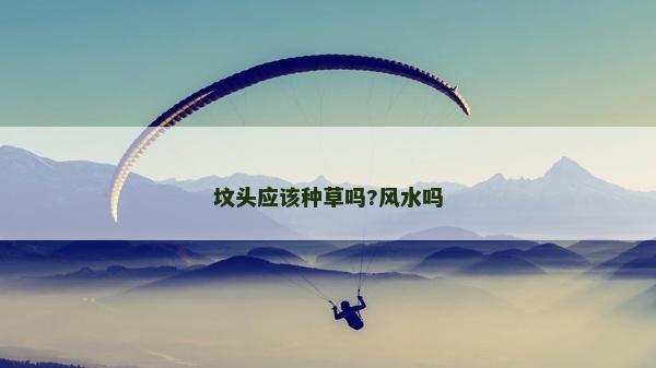 坟头应该种草吗?风水吗